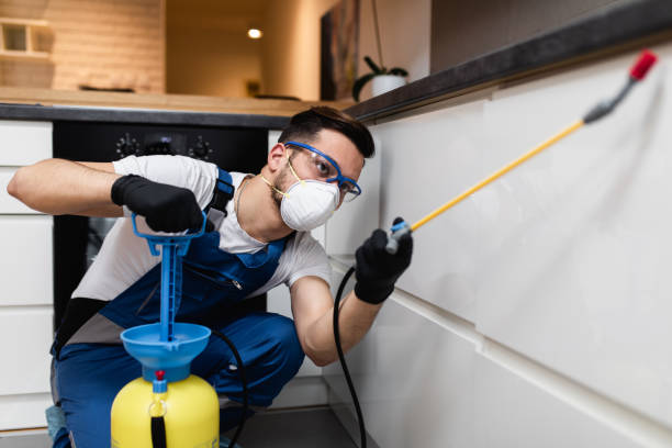 Best Mosquito Control Services  in Manvel, TX