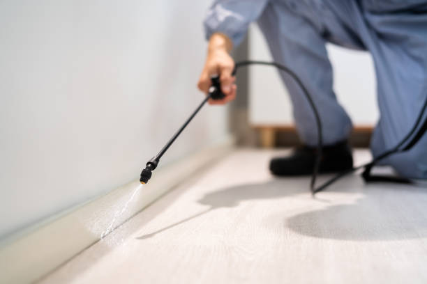 Professional Pest Control in Manvel, TX
