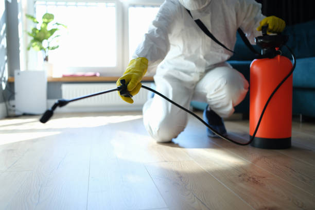 Best Pest Prevention Services  in Manvel, TX