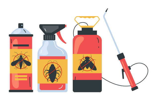 Best Bed Bug Extermination  in Manvel, TX