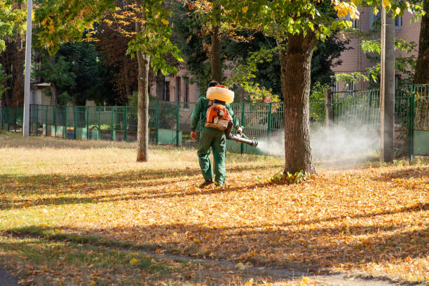 Trusted Manvel, TX Pest Control Experts