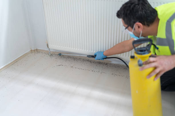 Best Affordable Pest Control Services  in Manvel, TX