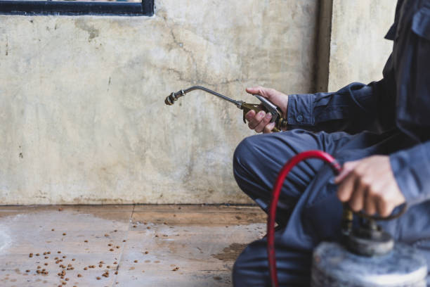 Pest Control Cost in Manvel, TX